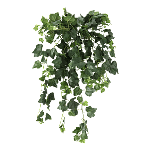 Kunstig Efeu hængeplante L: 65 cm.