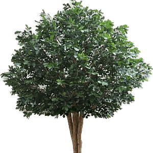 Kunstig Egetræ H: 370 cm.