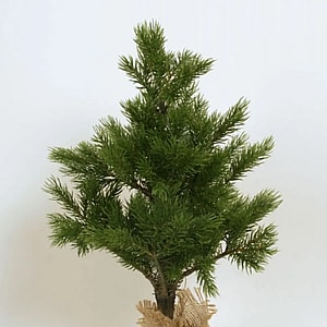 Kunstig Grantræ i potte H: 60 cm.