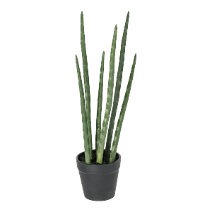 Kunstig Sanseveria H: 40 cm.