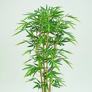 Kunstig Bambus H: 175 cm.