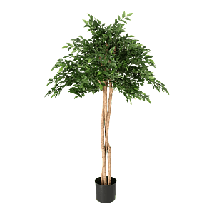 Kunstig Mini Ficus Natasja Paraply H: 135 cm.