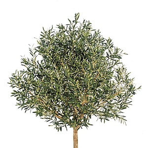 Kunstig Oliventræ H: 210 cm.