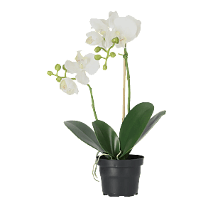 Kunstig Phalaenopsis Orkidé H: 45 cm.