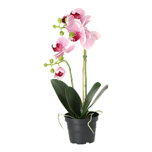 Kunstig Phalaenopsis Orkidé H: 45 cm.
