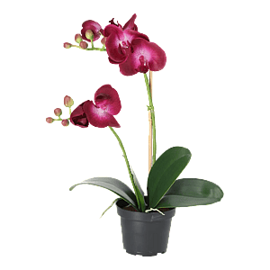 Kunstig orkidé mørk lilla - H: 45 cm.