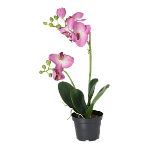 Kunstig Phalaenopsis Orkidé H: 45 cm.