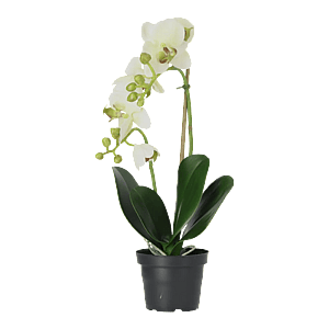 Kunstig Phalaenopsis Orkidé H: 45 cm.