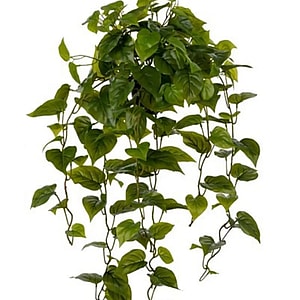 Kunstig Guldranke L: 70 cm.