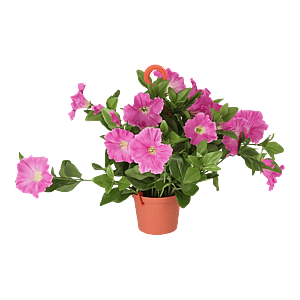 Kunstig Petunia lilla H: 30 cm.