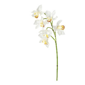 Kunstig Orkidé L: 50 cm.