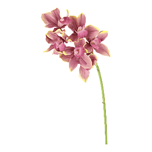 Kunstig Orkidé L: 50 cm.