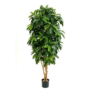 Kunstig Schefflera FR H: 170 cm.