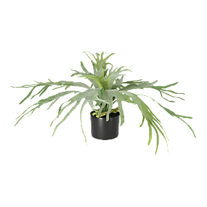 Kunstig Staghorn H: 60 cm.