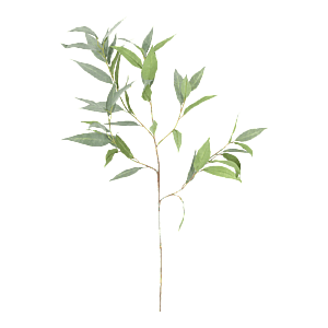 Kunstig Eukalyptus L: 93 cm.