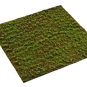 Kunstig Grimmia mosmåtte 100x100 cm.