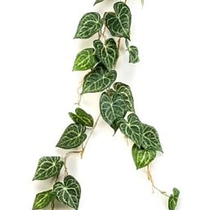 Kunstig Anthurium L: 110 cm.