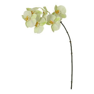 Kunstig orkide lime - H: 55 cm.