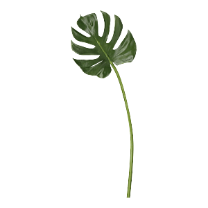 Kunstig Monstera blad L: 78 cm.