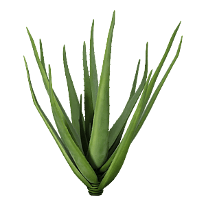Kunstig Aloe Vera H: 60 cm.
