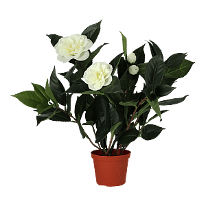 Kunstig camellia japonica - H: 42 cm.