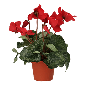 Kunstig Alpeviol H: 40 cm.