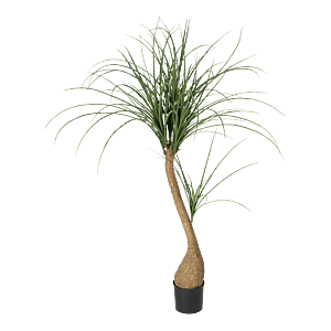 Kunstig Nolina palme H: 68 cm.