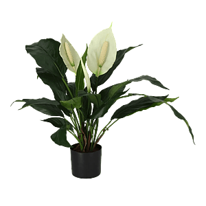 Kunstig Fredslilje H: 53 cm.
