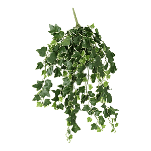 Kunstig efeu hængeplante - L: 75cm.