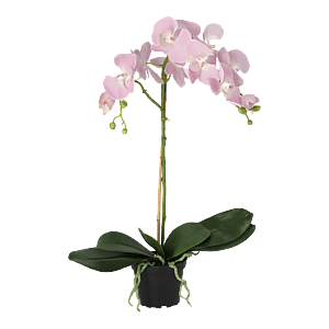 Kunstig Phalaenopsis Orkidé H: 60 cm.