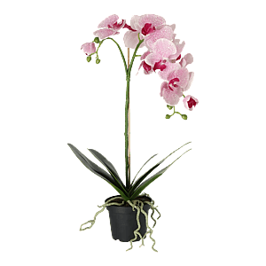 Kunstig Phalaenopsis Orkidé H: 60 cm.