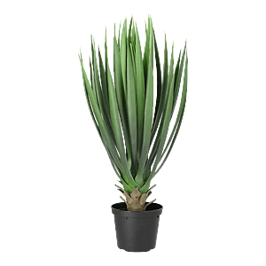 Kunstig Yucca Baby palme H: 42 cm.
