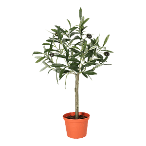 Kunstig mini oliventræ - H: 45 cm.