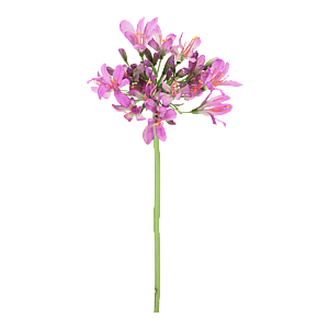 Kunstig skærmlilje stilk i lilla - L: 45 cm.