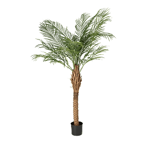 Kunstig Phoenix palme H: 150 cm.