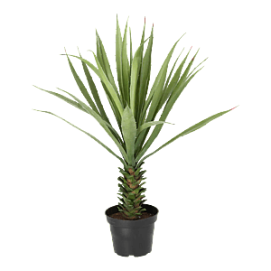 Kunstig Agave H: 40 cm.