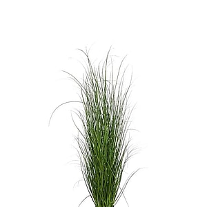 Kunstig græs i potte H: 140 cm.