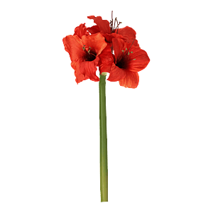 Kunstig Amaryllis stilk i rød - L: 60 cm.
