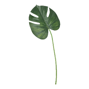 Kunstig Monstera blad L: 60 cm.
