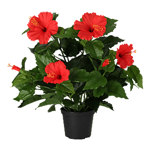 Kunstig hibiscus rød - H: 42 cm.