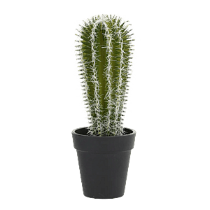 Kunstig Kaktus H: 23 cm.