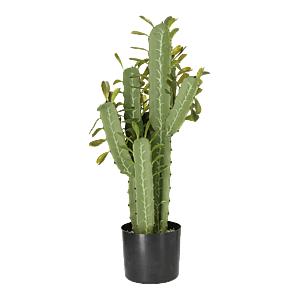 Kunstig kaktus plante H: 76 cm.