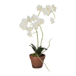 Kunstig creme orkidé H: 65cm.