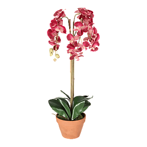 Kunstig Orkidé H: 75 cm.