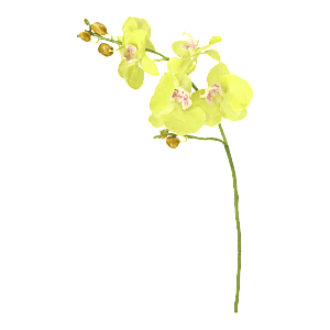 Kunstig Orkidé L: 70 cm.