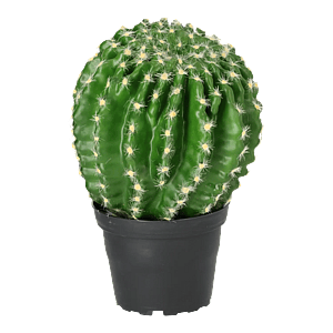 Kunstig Kaktus rund H: 23 cm.