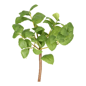 Kunstig Basilikum H: 25 cm.