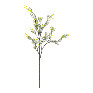 Kunstig Mimosa L: 110 cm.