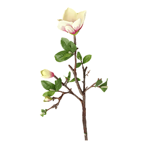 Kunstig Magnolia L: 70 cm.