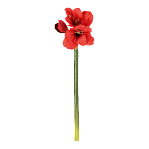 Kunstig Amaryllis stilk rød - L: 60 cm.